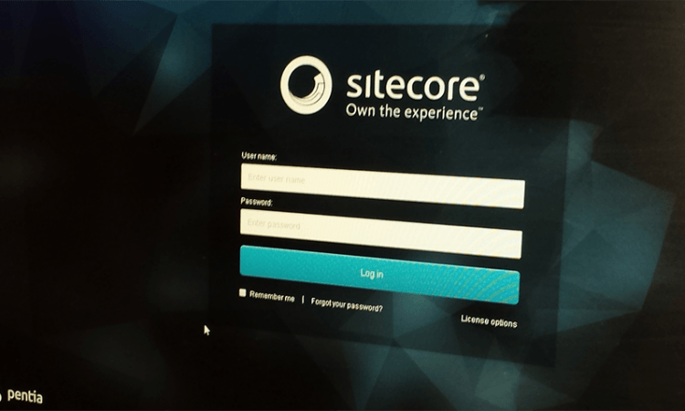 Sitecore-10-NET-Developer Latest Dumps & Valid Sitecore-10-NET-Developer Practice Questions - Test Sitecore-10-NET-Developer King