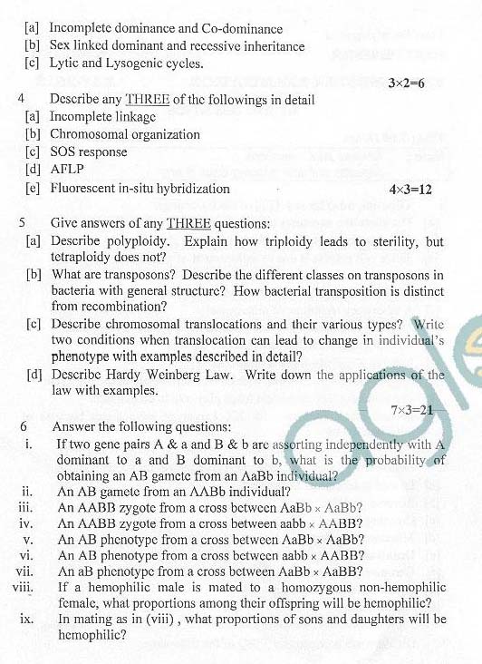 New 212-81 Test Materials & EC-COUNCIL Latest 212-81 Exam Simulator