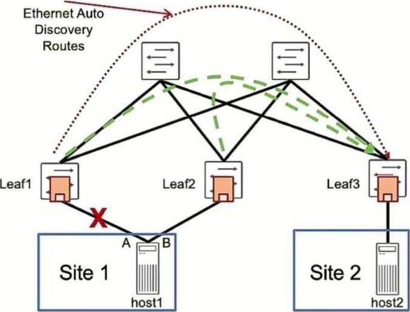 Juniper Exam JN0-682 Demo, Verified JN0-682 Answers | JN0-682 Reliable Exam Cram