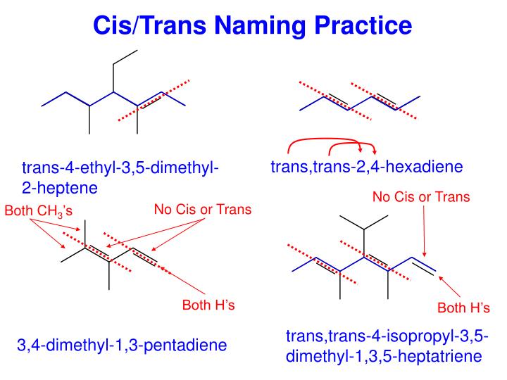 New CIS-CPG Test Bootcamp - CIS-CPG Valid Exam Braindumps, Reliable CIS-CPG Test Online