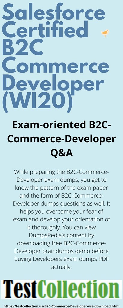 Valid Exam B2C-Commerce-Developer Preparation - B2C-Commerce-Developer Exam Sample Online