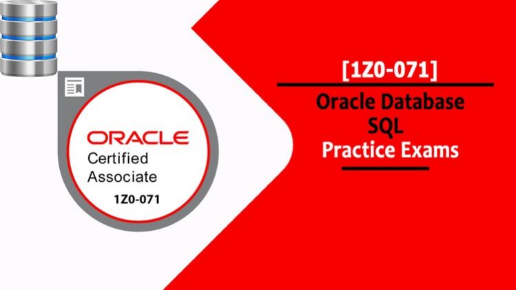 Oracle Customizable 1z1-071 Exam Mode - Exam Dumps 1z1-071 Zip