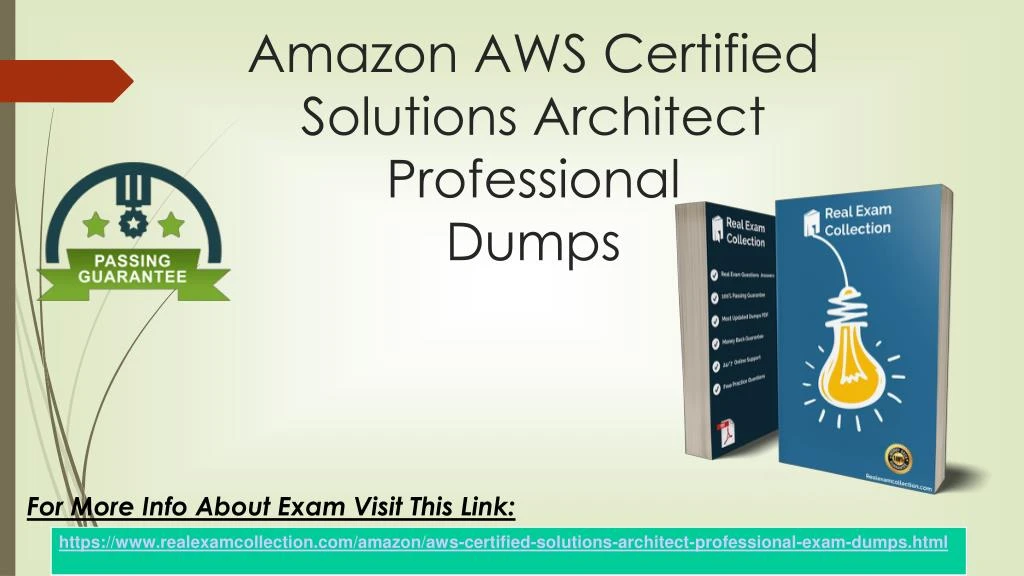 Practice AWS-Solutions-Architect-Professional Test Online | Reliable AWS-Solutions-Architect-Professional Exam Price