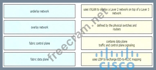 Cisco 300-420 Relevant Answers | Latest 300-420 Exam Practice