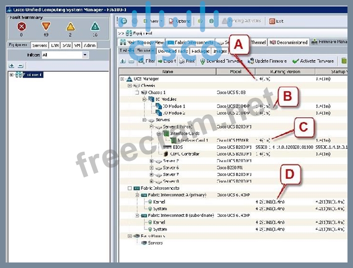 Cisco 010-151 Exam Success | 010-151 Reliable Test Topics