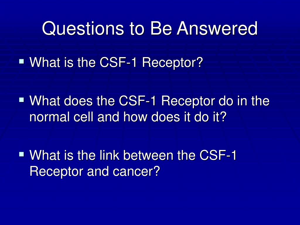 2024 D-CSF-SC-23 Valid Dump, D-CSF-SC-23 Test Questions Vce | NIST Cybersecurity Framework 2023 Exam Latest Test Preparation