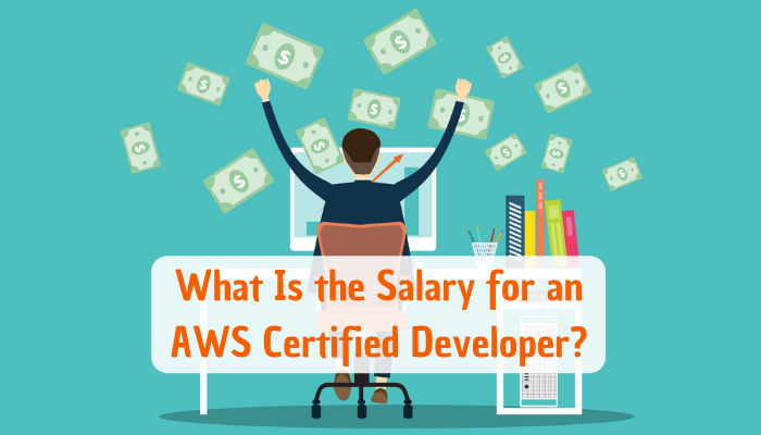 AWS-Certified-Developer-Associate Study Material & Valid AWS-Certified-Developer-Associate Practice Questions - Pass AWS-Certified-Developer-Associate Test Guide