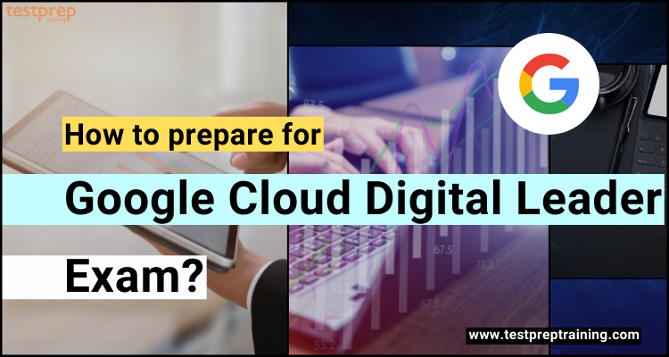 Google Cloud-Digital-Leader Latest Dumps Free - Pass Leader Cloud-Digital-Leader Dumps