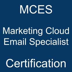 Salesforce Test Marketing-Cloud-Email-Specialist Answers, Marketing-Cloud-Email-Specialist Reliable Exam Bootcamp