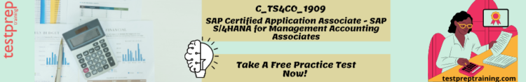 Valid Test C_TS4CO_2021 Format - SAP New C_TS4CO_2021 Exam Testking