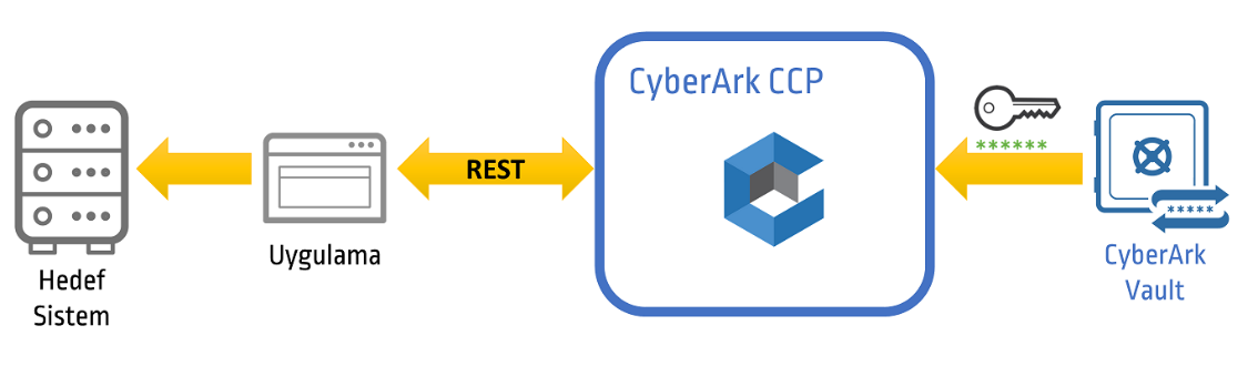 2024 ACCESS-DEF Valid Test Vce - Exam ACCESS-DEF Consultant, CyberArk Defender Access Trustworthy Practice