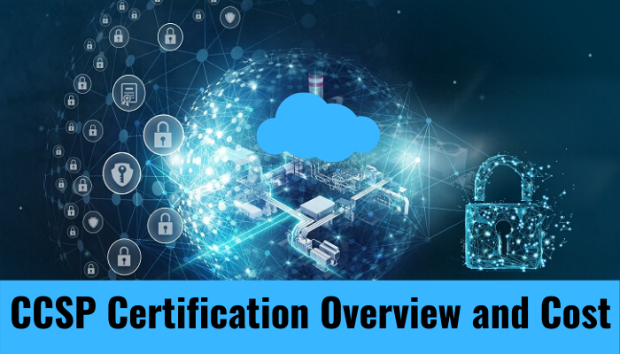 2024 CCSP Latest Exam Simulator, CCSP Valid Braindumps | Training Certified Cloud Security Professional Pdf