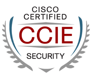 Cisco 300-415 Advanced Testing Engine | 300-415 Valid Exam Cram