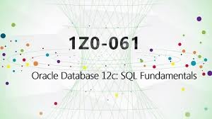 Oracle 1z0-071 Test Pattern & Exam 1z0-071 Pattern - 1z0-071 Reliable Dumps Ppt