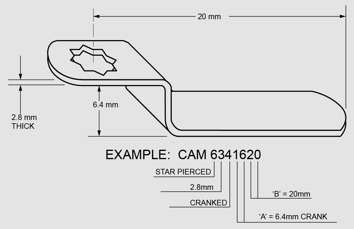 CAMS New Dumps Files & CAMS Latest Study Notes - CAMS New Study Plan