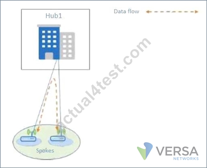 New VNX100 Test Vce & Versa Networks Dumps VNX100 Vce - Reliable VNX100 Study Materials