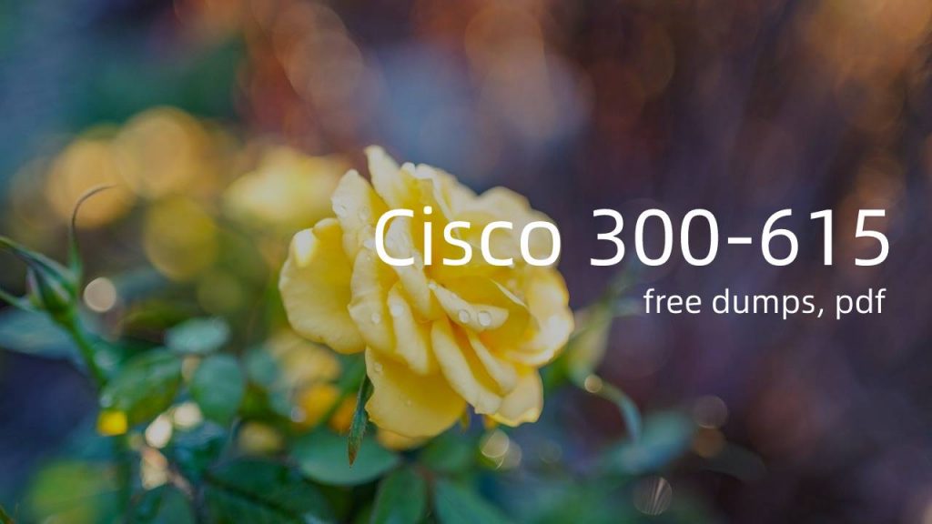 New 300-615 Dumps Questions, Latest 300-615 Study Notes | Test Troubleshooting Cisco Data Center Infrastructure Discount Voucher