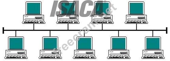 CISA Test Torrent - Latest CISA Test Question, CISA Free Learning Cram