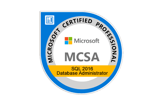 2024 VCE MB-260 Exam Simulator & MB-260 Test Testking - Test Microsoft Customer Data Platform Specialist Preparation