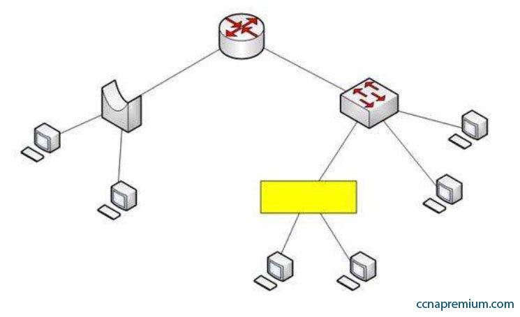 2024 New 200-301 Study Notes & 200-301 Exam Questions - Real Cisco Certified Network Associate Exam Braindumps