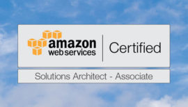 2024 Latest AWS-Solutions-Architect-Professional Exam Experience & Customizable AWS-Solutions-Architect-Professional Exam Mode