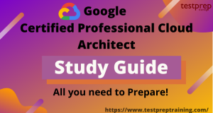 Professional-Cloud-Architect Exam Actual Tests & Professional-Cloud-Architect Exam Overview - Professional-Cloud-Architect Customized Lab Simulation