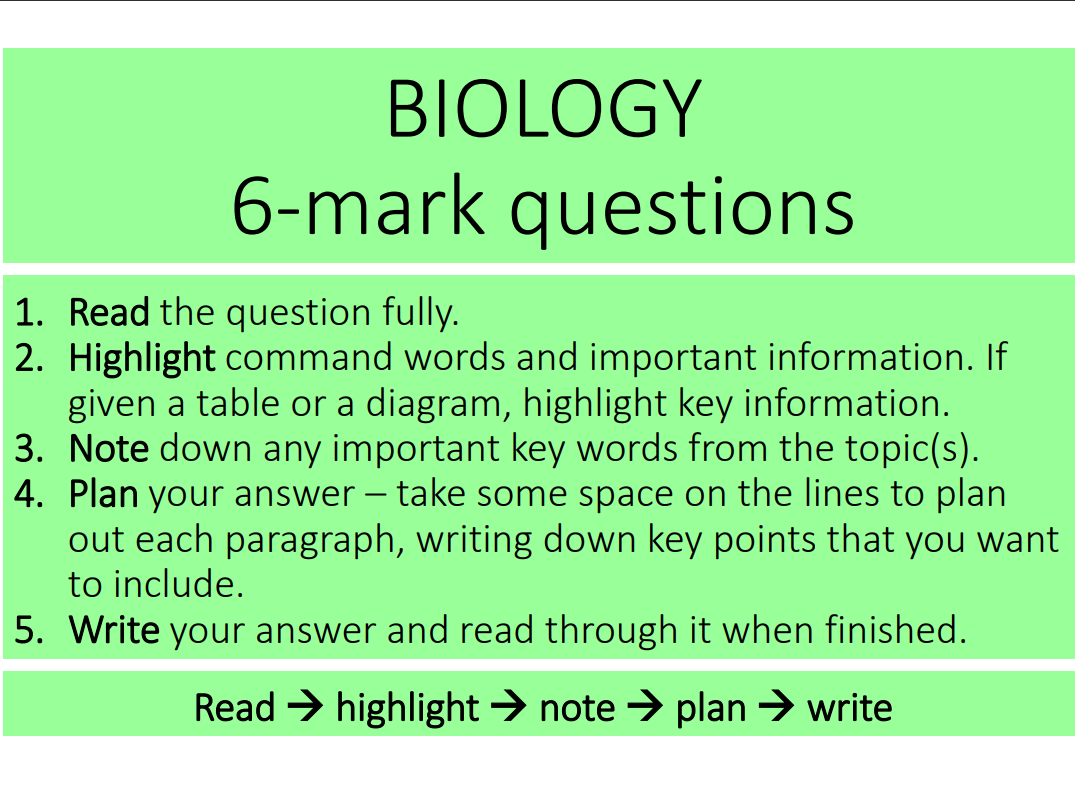 New IPQ-499 Practice Materials - IPQ-499 New Braindumps Free