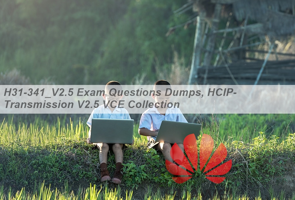 Huawei Free H31-341_V2.5 Study Material - Exam H31-341_V2.5 Flashcards