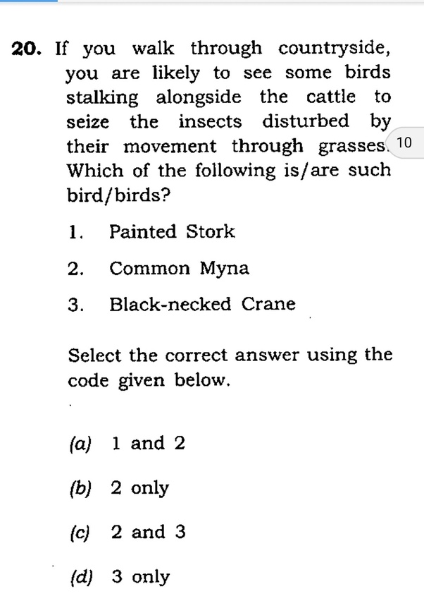 IIA Exam IIA-IAP Objectives & IIA-IAP Valid Test Questions