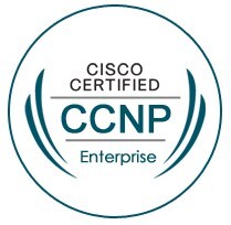 Cisco 300-415 Interactive Course & 300-415 Reasonable Exam Price