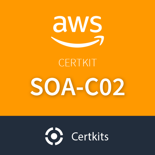 Amazon Practical SOA-C02 Information, SOA-C02 Dump Check