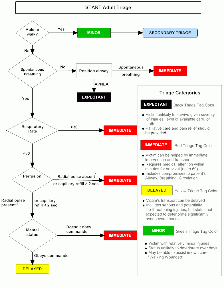 New NCP-MCI-6.5 Braindumps Questions | NCP-MCI-6.5 Test Testking & Exam NCP-MCI-6.5 Certification Cost