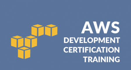 Valid AWS-Developer Exam Fee, Valid AWS-Developer Exam Duration | AWS-Developer Exam Vce Free