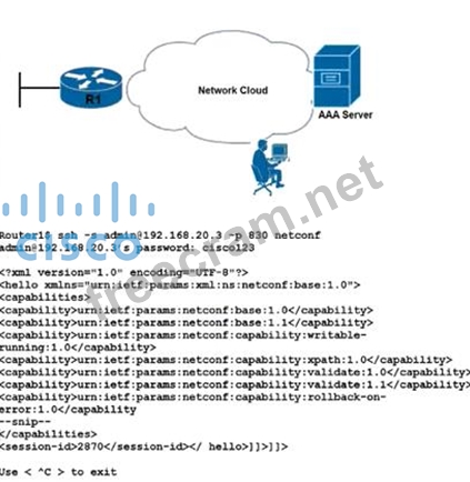 Related 350-401 Exams & Cisco Exam 350-401 Outline - 350-401 Test Dumps Demo