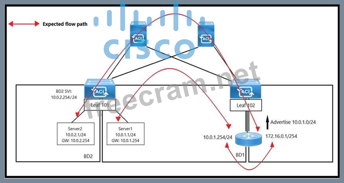 Examcollection 300-620 Vce, Cisco 300-620 Top Exam Dumps