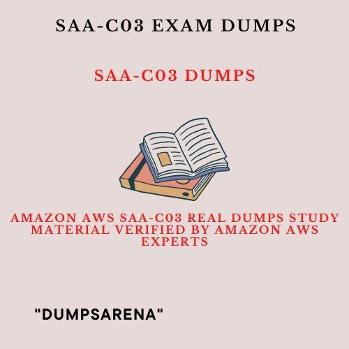 SAA-C03 Complete Exam Dumps | Trustworthy SAA-C03 Dumps & SAA-C03 New Soft Simulations