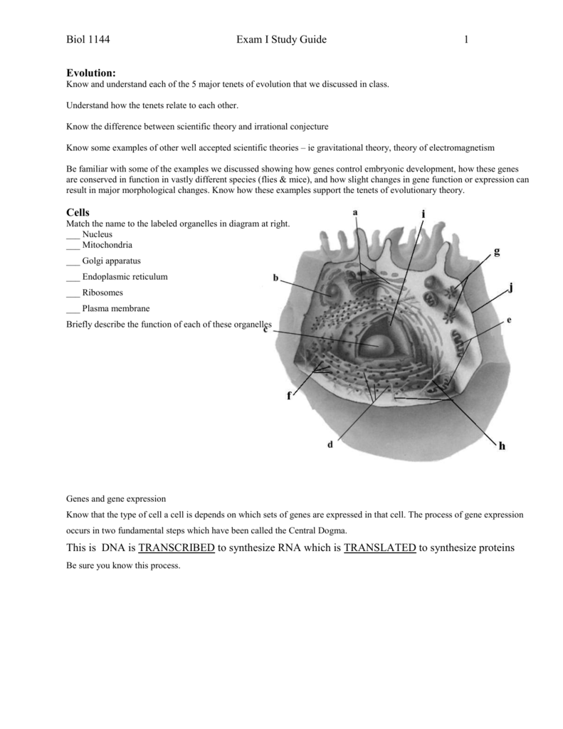 CCD-102 Visual Cert Exam - Latest CCD-102 Real Test, CCD-102 Latest Exam Price