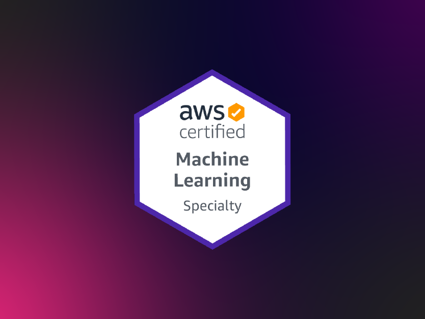 Exam AWS-Certified-Machine-Learning-Specialty Overview - New AWS-Certified-Machine-Learning-Specialty Test Test, Useful AWS-Certified-Machine-Learning-Specialty Dumps