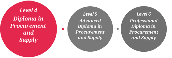 Valid L4M7 Exam Online - L4M7 Test Preparation, L4M7 Testking Learning Materials