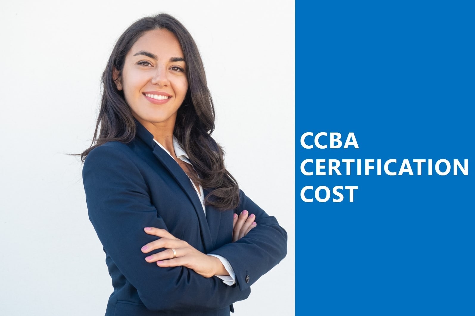 CCBA Practice Questions - IIBA Standard CCBA Answers