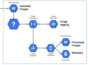 Google Professional-Cloud-Architect Valid Test Online, Latest Professional-Cloud-Architect Dumps Book