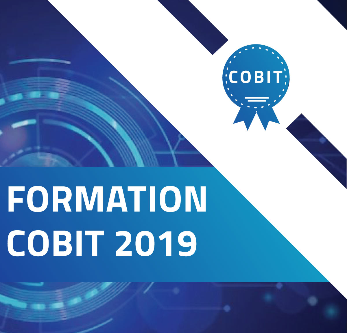 COBIT-2019 Prepaway Dumps | COBIT-2019 Latest Exam Practice & Useful COBIT-2019 Dumps