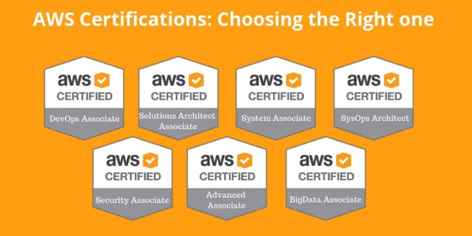 Valid Exam AWS-Solutions-Associate Book - Free AWS-Solutions-Associate Braindumps, Practice AWS-Solutions-Associate Engine