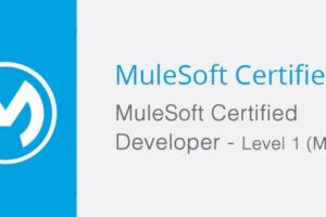 MuleSoft MCD-Level-1 Exam PDF | MCD-Level-1 Brain Exam & MCD-Level-1 Intereactive Testing Engine