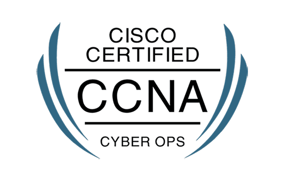 2024 200-201 Braindump Free - 200-201 Valid Exam Topics, Understanding Cisco Cybersecurity Operations Fundamentals New Question