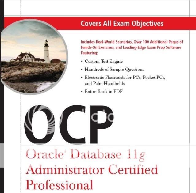 Oracle 1z0-1110-22 Exam Questions & 1z0-1110-22 Reliable Torrent