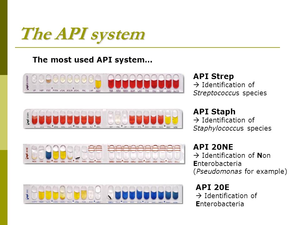 New API-936 Braindumps, Reliable API-936 Exam Syllabus | API-936 New Braindumps Ebook