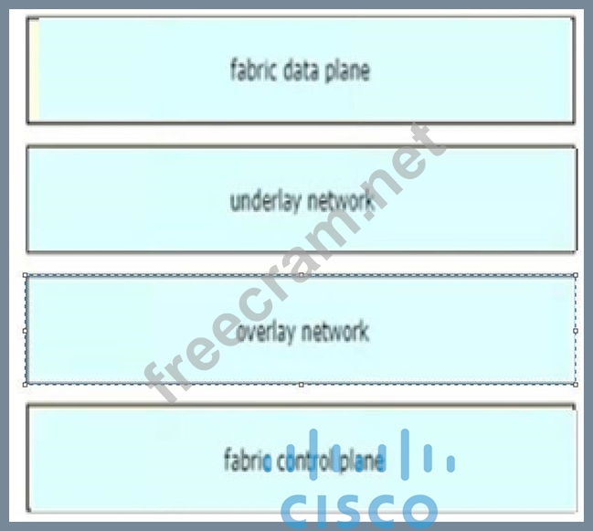 300-420 Complete Exam Dumps | Cisco Practice Test 300-420 Pdf