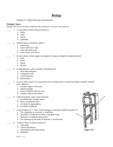 Reliable Exam C-C4H630-21 Pass4sure - C-C4H630-21 Latest Test Questions