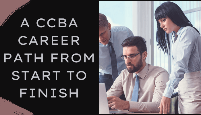 Valid CCBA Exam Format & Premium CCBA Exam - CCBA Actual Questions